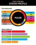 3 Chi-Pulse – True Strains Vape Pod