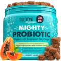 Mighty Probiotic: Digestion Support Supplement