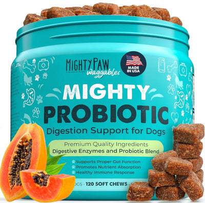 Mighty Probiotic: Digestion Support Supplement