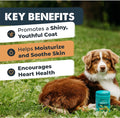 Omega 3 Salmon Oil Chew For Dogs