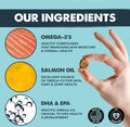 Omega 3 Salmon Oil Chew For Dogs