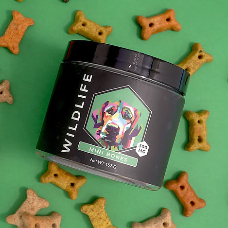 Pure Health Alternatives