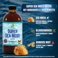 Super Sea Moss Bitter - 16oz | Eco-Conscious Herbal Tonic
