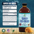 Super Sea Moss Bitter - 16oz | Eco-Conscious Herbal Tonic